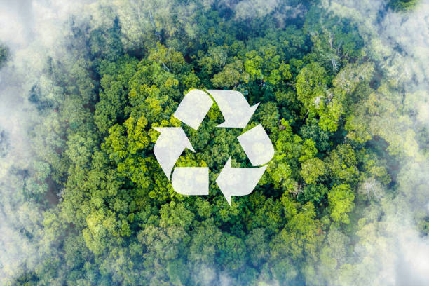 Nezir Plastik создает добавленную стоимость для природы